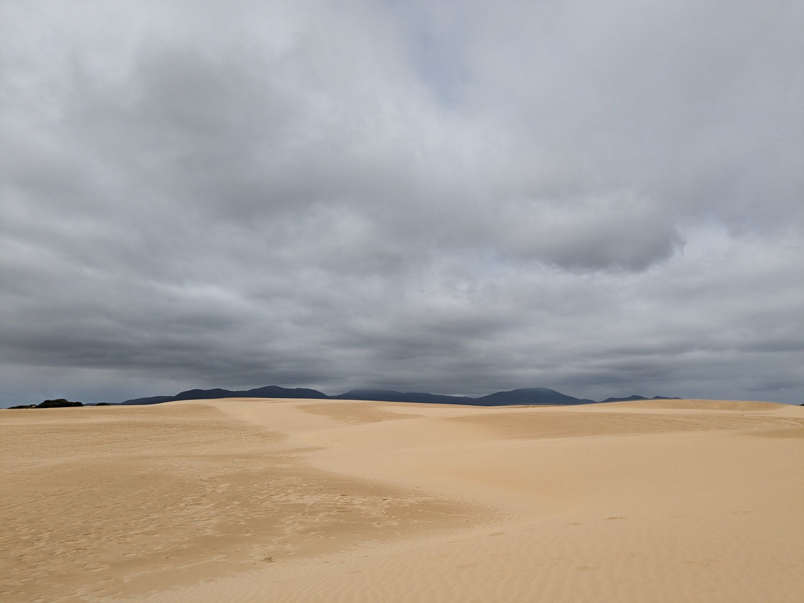 The Big Drift - Wilsons Promontory