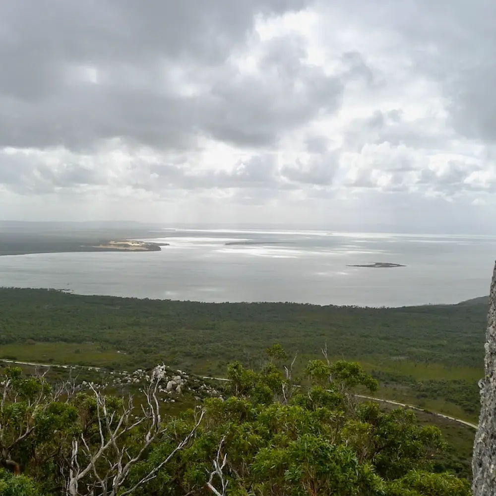 view from a high point overlooking a forest and a bay