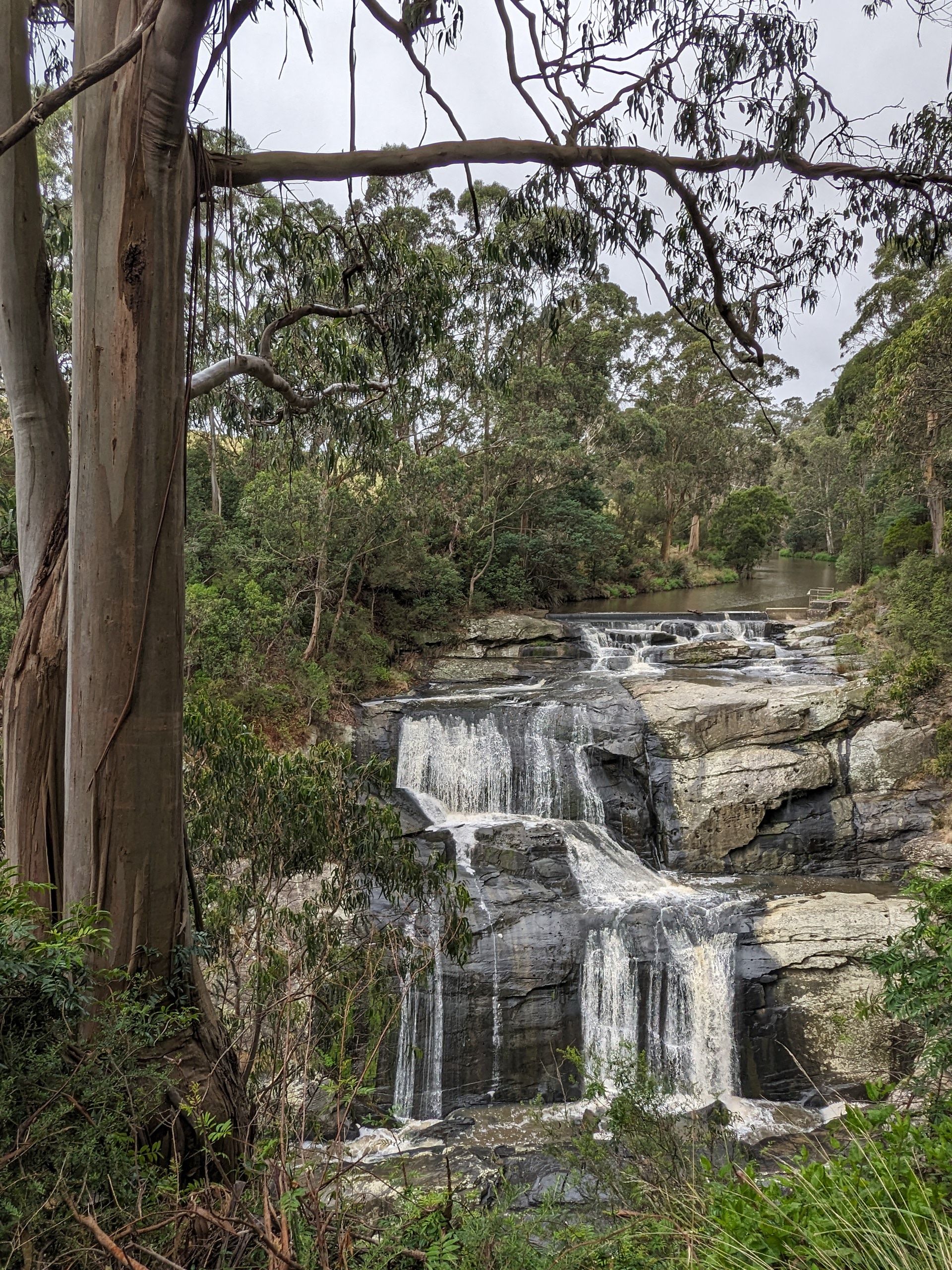 Agnes Falls - Hazel Park