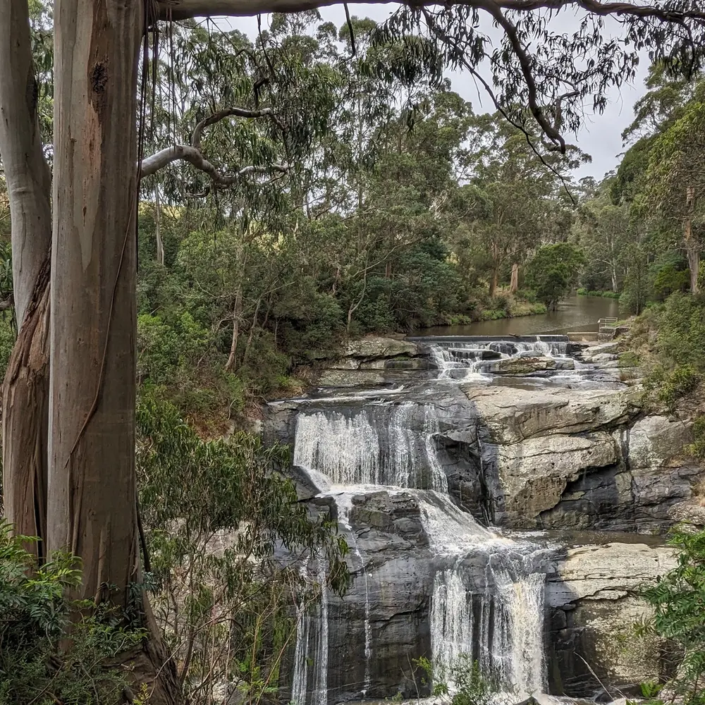 a view overlooking the stunning Agnes Falls