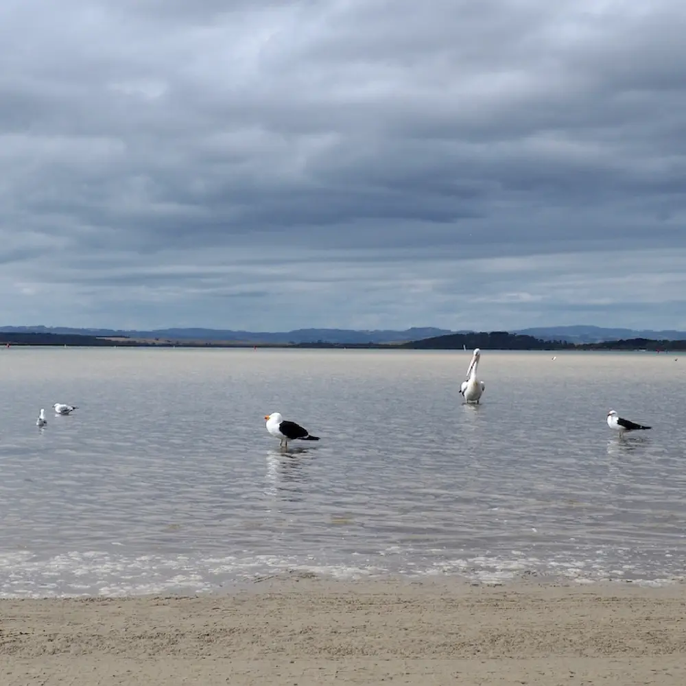 view of the beach at shallow inlet beach access