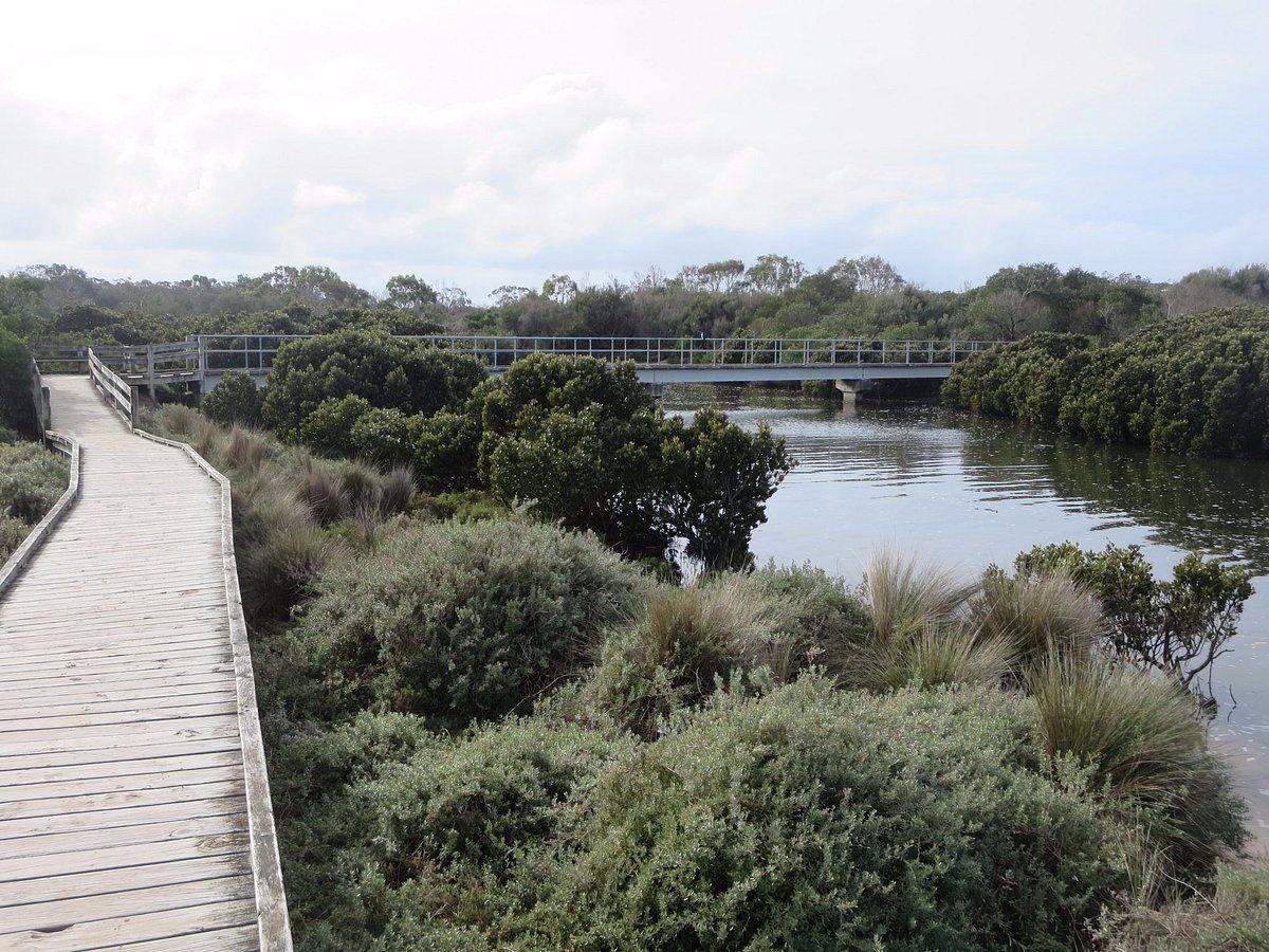 The Screw Creek boardwalk