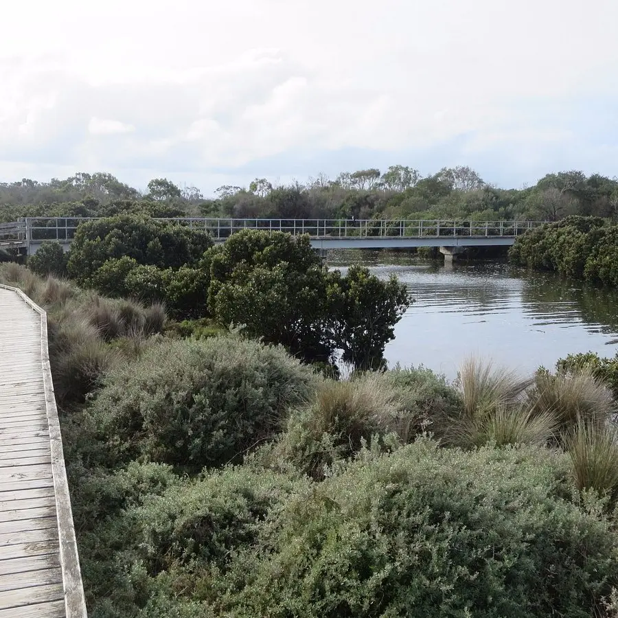 The Screw Creek boardwalk