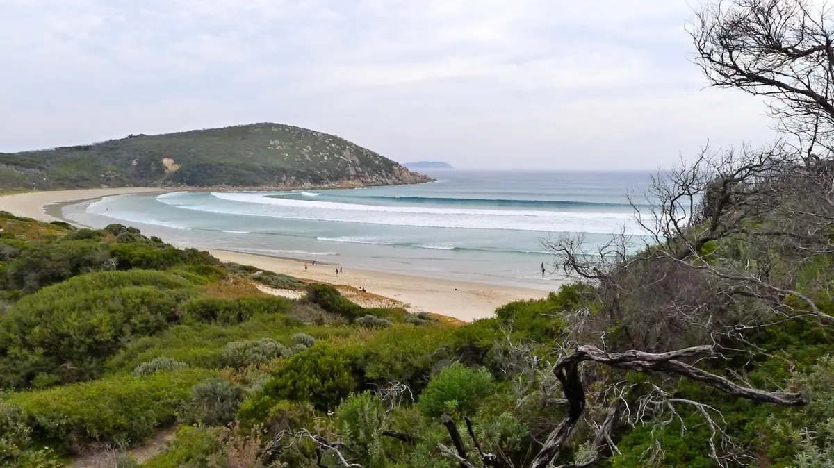 Picnic Bay Lookout - Wilsons Promontory