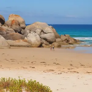 Whisky Bay - Wilsons Promontory