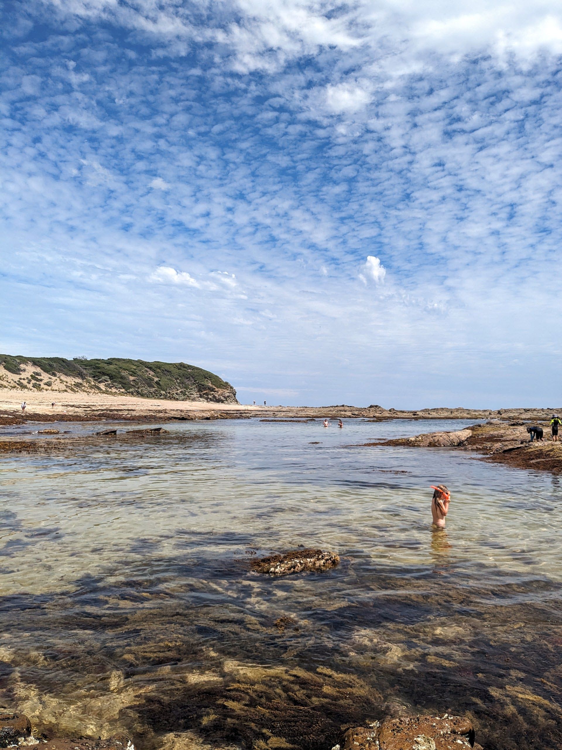 beautiful rockpools on a sunny summers day in Kilcunda