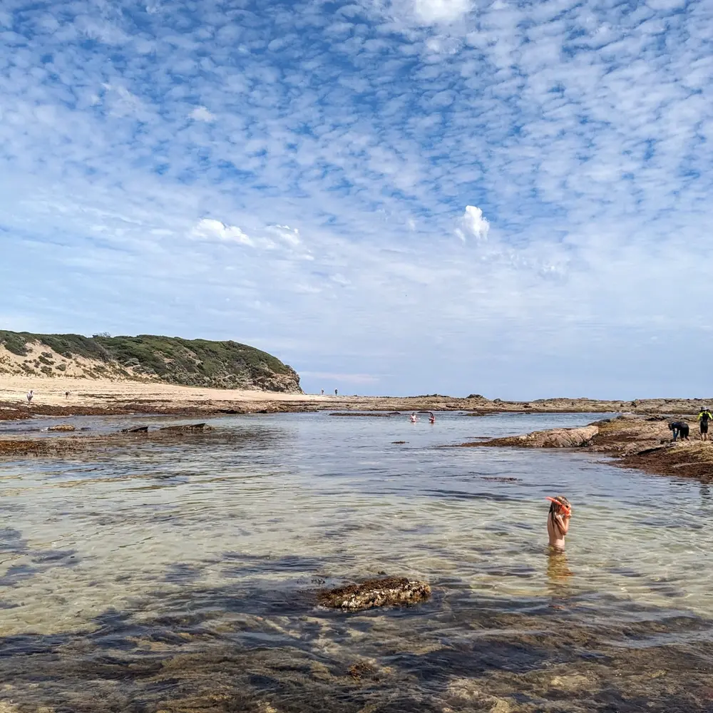 beautiful rockpools on a sunny summers day in Kilcunda