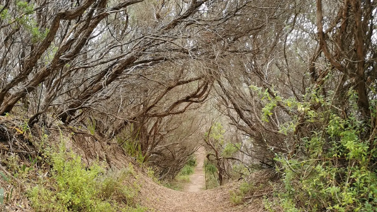 Point Smythe Nature Trail - Venus Bay