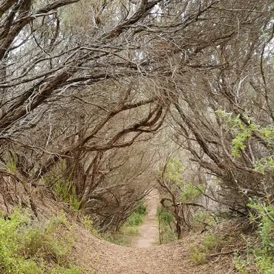 Point Smythe Nature Trail - Venus Bay Point Smythe Nature Trail - Venus Bay