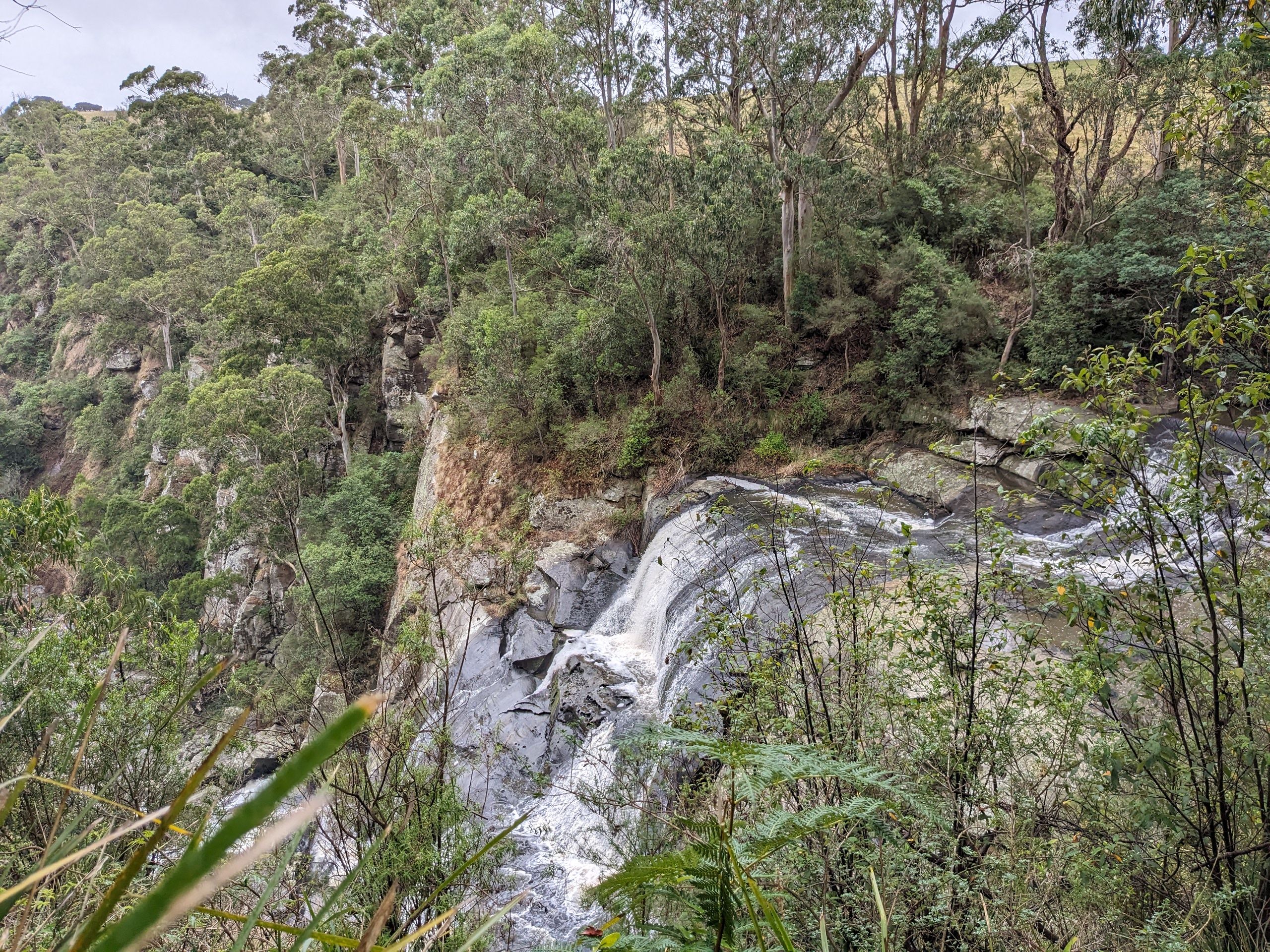 Standing at the top of Agnes Falls just outside Toora