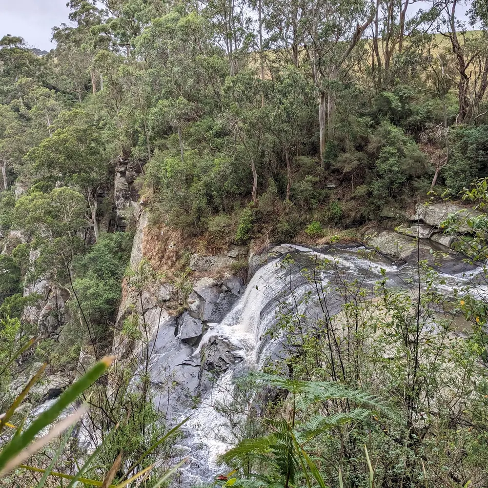 Standing at the top of Agnes Falls just outside Toora