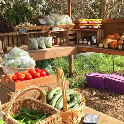 Flock, Stock and Basil - Tarwin Lower Flock, Stock and Basil - Tarwin Lower