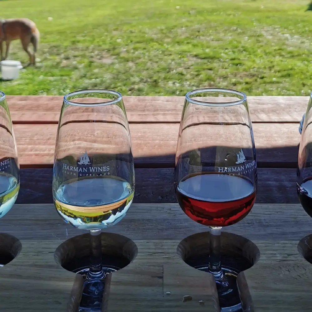 Wine tasting tray at Harman Wines