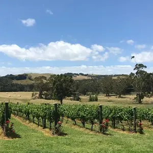 Gippsland Wine Company - Loch