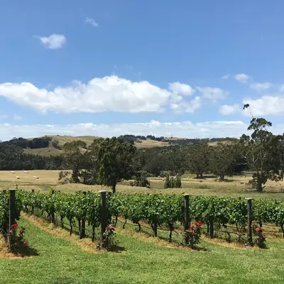 Gippsland Wine Company - Loch Gippsland Wine Company - Loch
