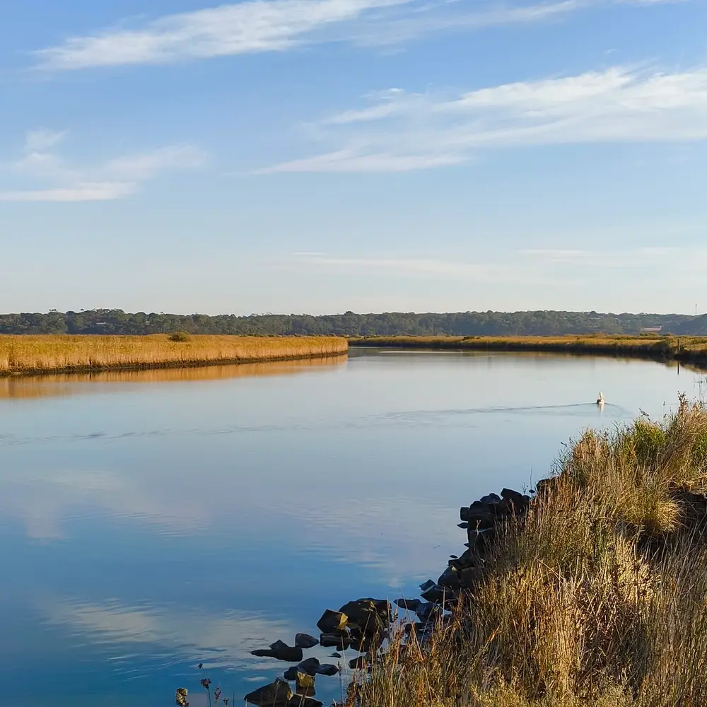 the still water of the Tarwin River