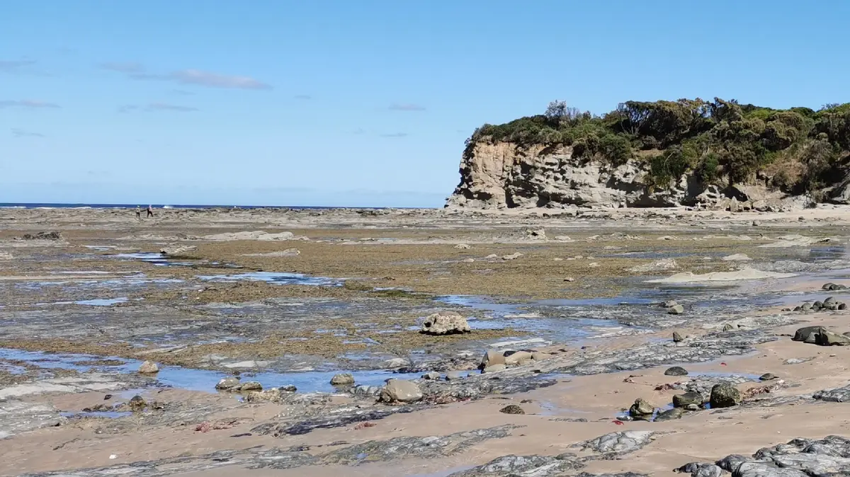 Inverloch Rocks Flat Rocks - Dinosaur Dreaming Fossil Site - Inverloch