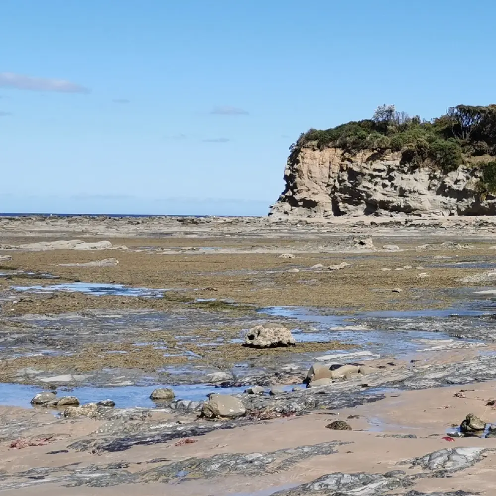beach view at dinosaur dreaming fossil site with a cliff in the background