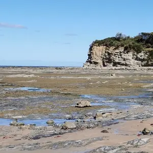 Flat Rocks - Dinosaur Dreaming Fossil Site - Inverloch Flat Rocks - Dinosaur Dreaming Fossil Site - Inverloch