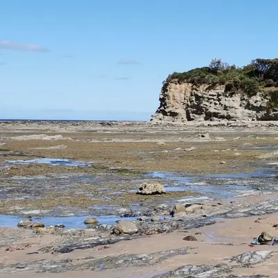 Flat Rocks - Dinosaur Dreaming Fossil Site - Inverloch Flat Rocks - Dinosaur Dreaming Fossil Site - Inverloch